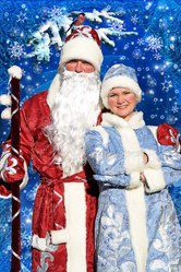 Дед Мороз на дом Полтава