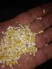 Побічний продукт,  зерновідходи кукурудзи від 25 т