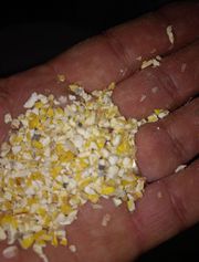 Зерновідходи та побічний продукт кукурудзи