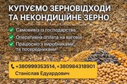 Закуповуємо по Україні зерновідходи та некондицію